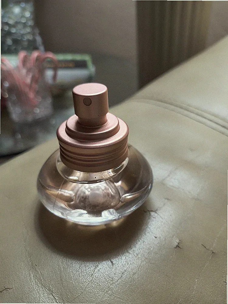 Shakira Perfume 1 Fl oz Eau De Toilette for women Older Version